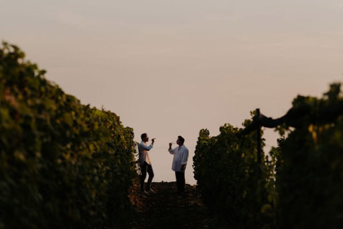 Bottiglia di vino che viene versato nei calici