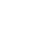 Telephone icon