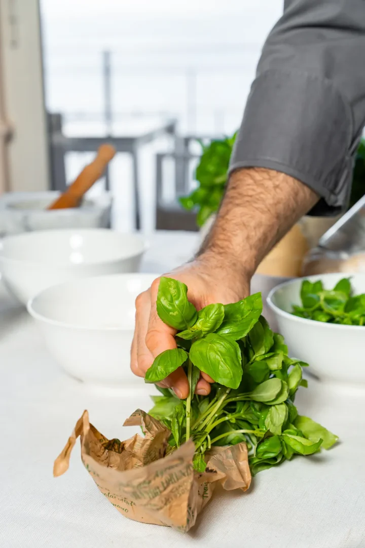Basilico fresco per il pesto genovese durante la Pesto Experience